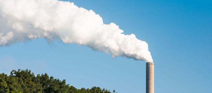 Ein hoher Schornstein, aus dem weißer Rauch gegen einen klaren blauen Himmel aufsteigt, mit einer Reihe von Bäumen am unteren Ende.